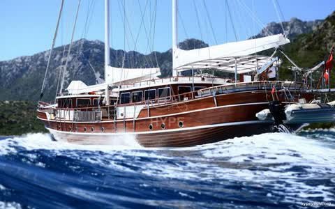 Gulet HY-103031