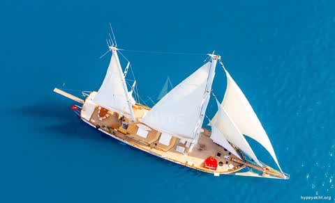 Gulet HY-103466