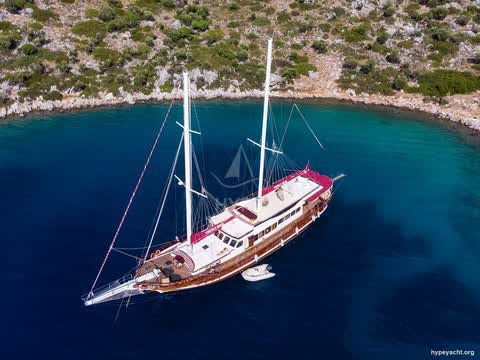 Gulet HY-108681
