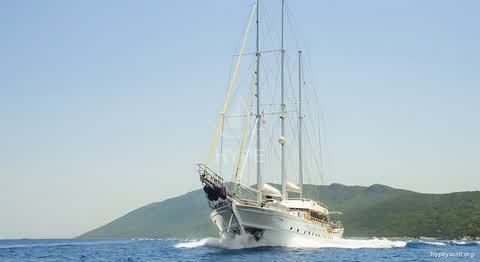 Gulet HY-110269