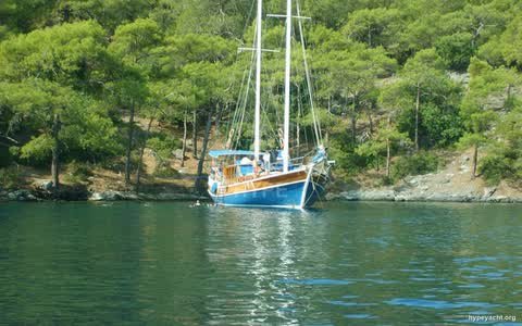Gulet HY-123483