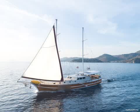Gulet HY-124565