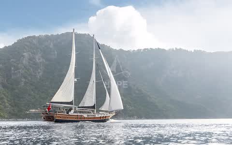Gulet HY-131660
