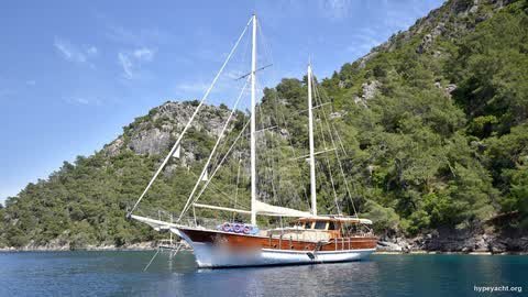 Gulet HY-136211