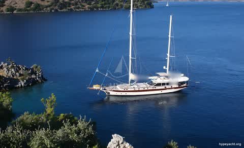 Gulet HY-136935