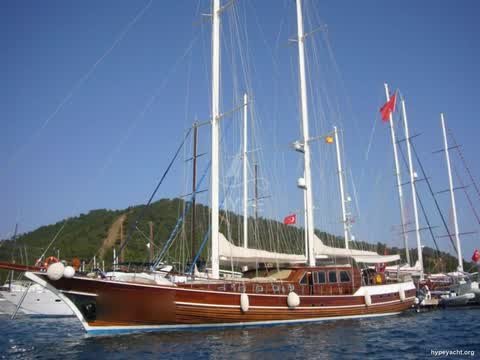 Gulet HY-138041