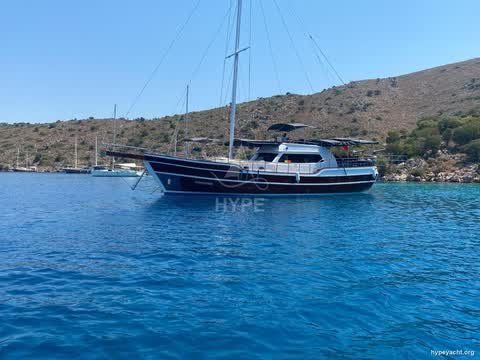 Gulet HY-138089