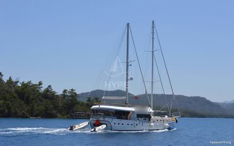 Gulet HY-139302