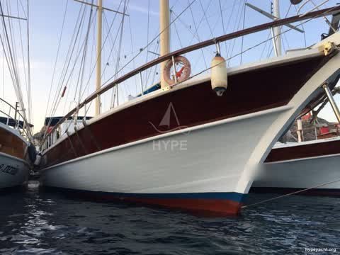 Gulet HY-141466