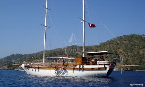 Gulet HY-143191