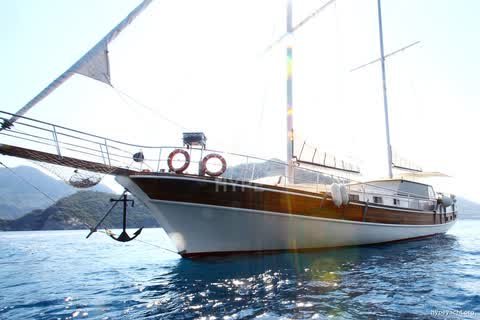 Gulet HY-143623