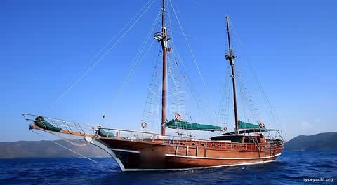 Gulet HY-148761