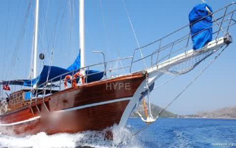 Gulet HY-149135