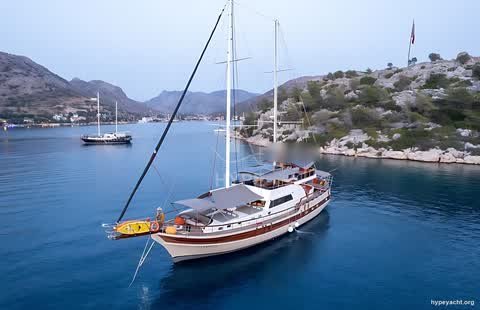 Gulet HY-157881