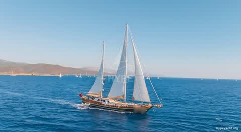 Gulet HY-159488