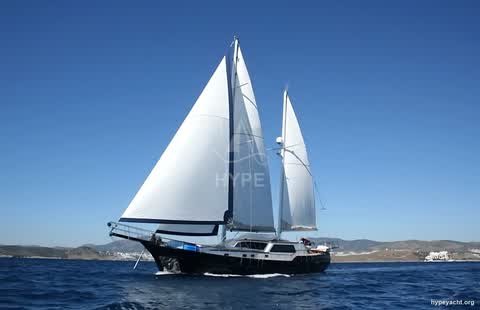 Gulet HY-163067