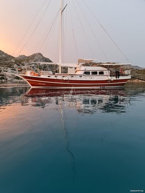 Gulet HY-164866