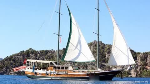 Gulet HY-167865