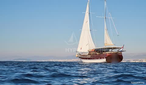 Gulet HY-179816