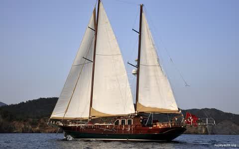 Gulet HY-182958