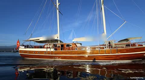 Gulet HY-184884