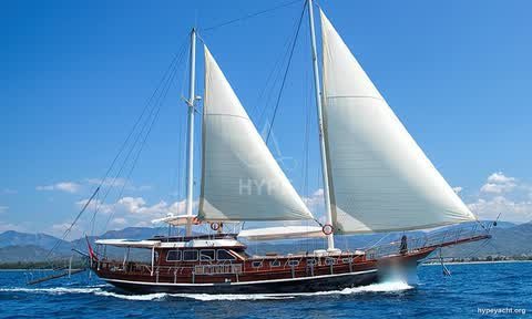Gulet HY-193243