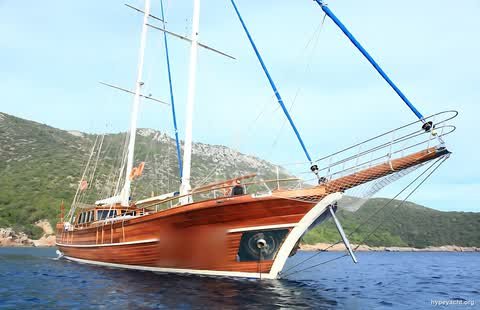 Gulet HY-193538
