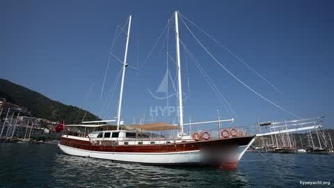 Gulet HY-197017